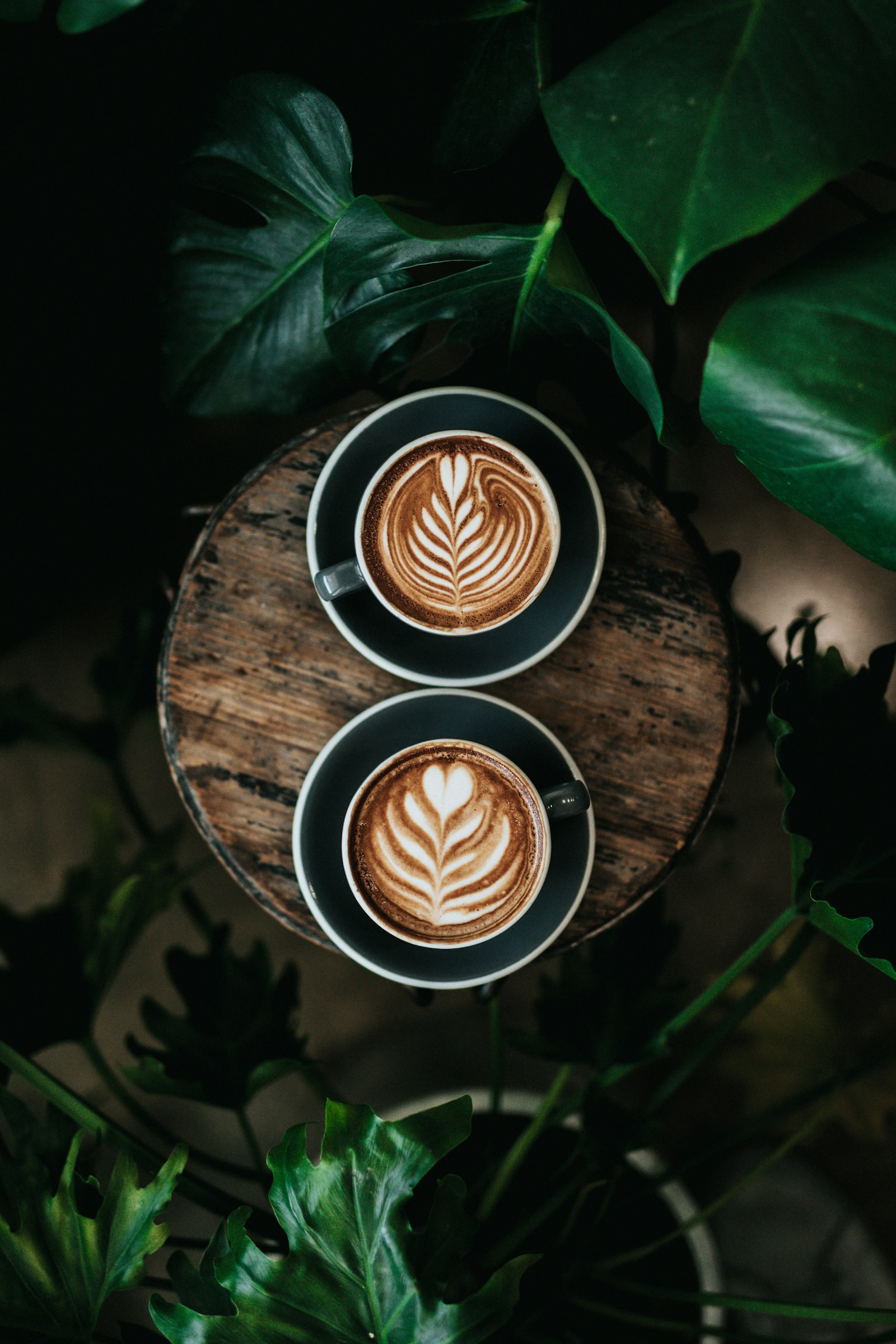 Two lattes with latte art on a wooden table